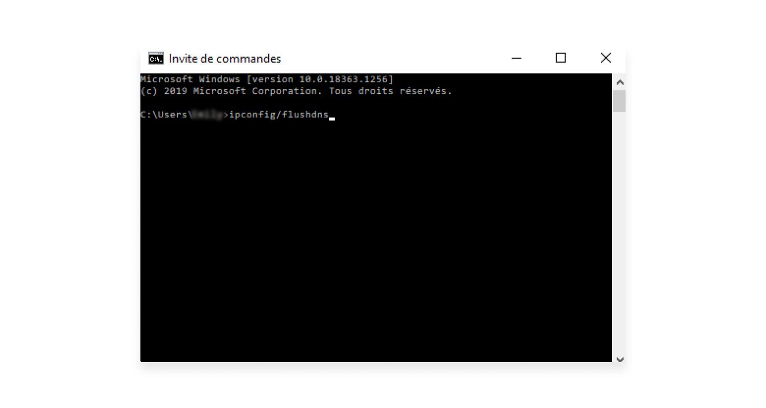 flush DNS