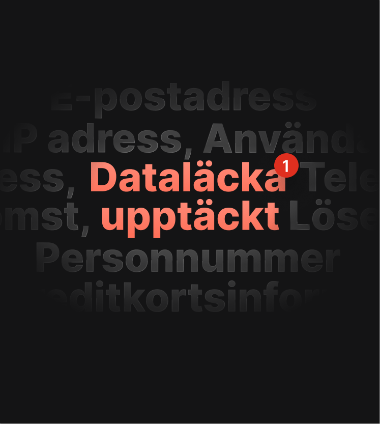 En illustration av ett varningsmeddelande från ett DNS-läckagetest som informerar användaren om att en dataläcka har skett.