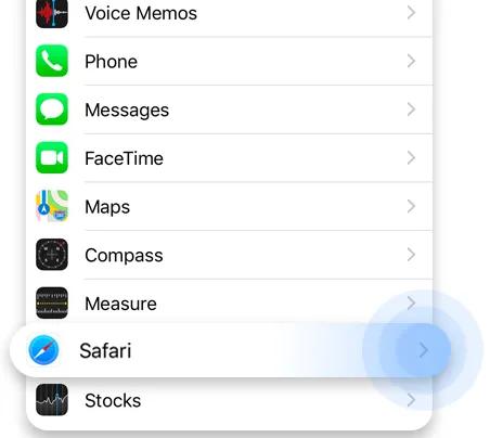 Delete Safari history