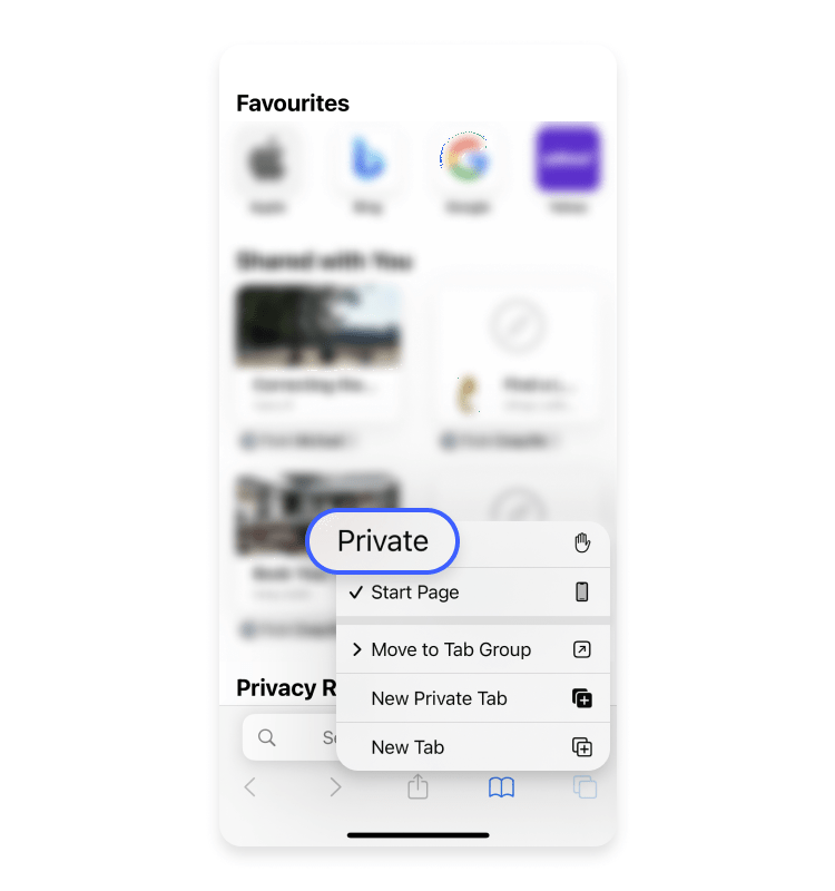 private browsing 2