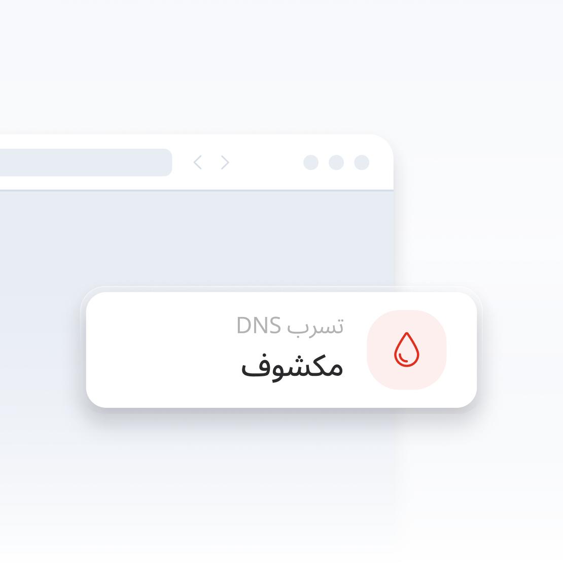 جزء من نافذة متصفح الإنترنت تحذر من تسرب DNS.