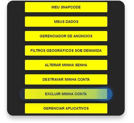 como excluir a conta do snapchat no seu computador:  passo nº2