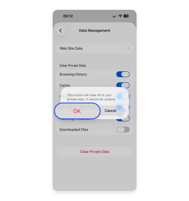 Mozilla Firefox iPhone app step 5