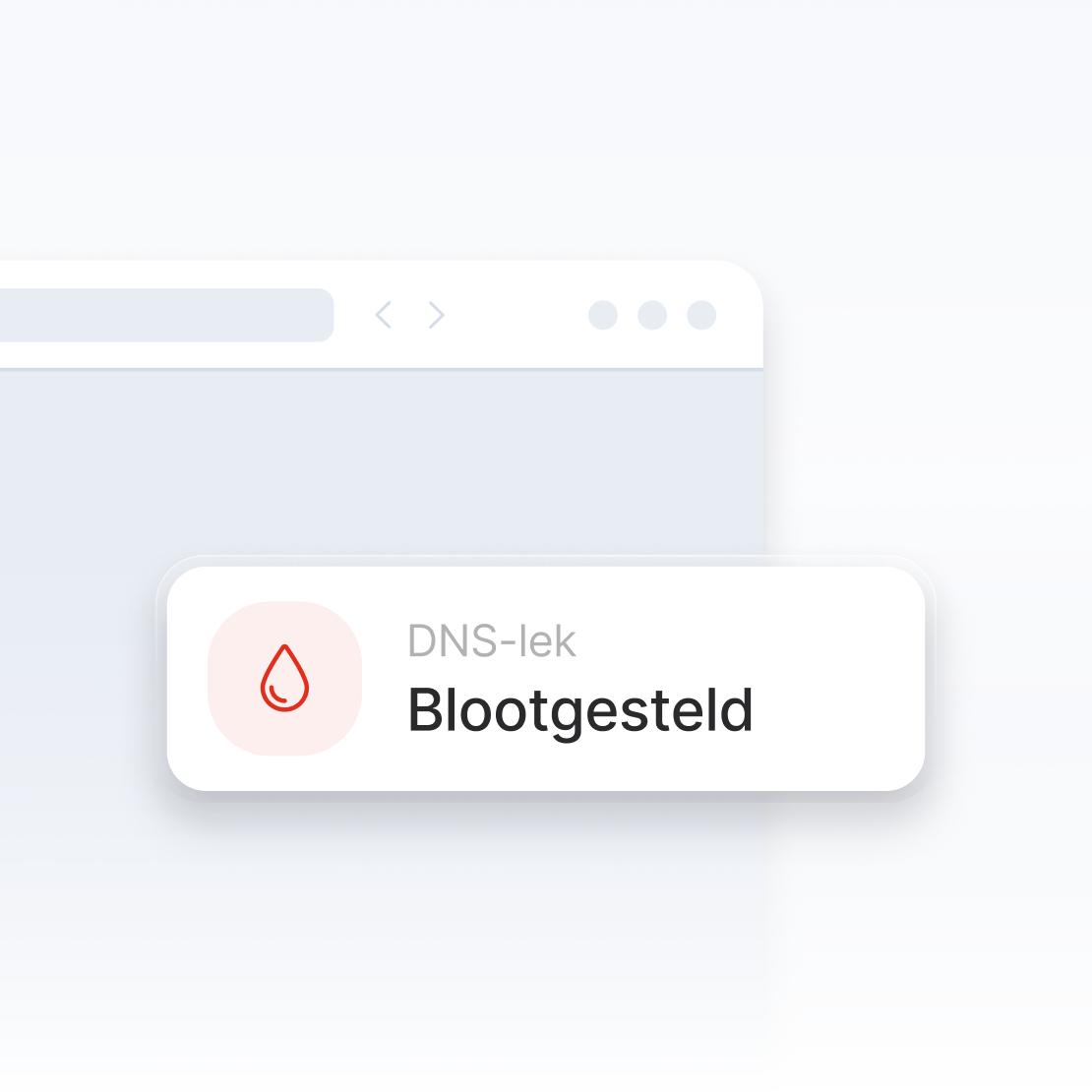 Een fragment van een browservenster met een waarschuwing voor een DNS-lek.