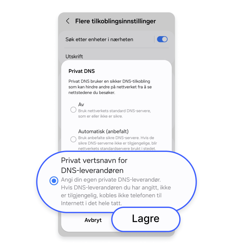 Vertsnavn for privat DNS-leverandør