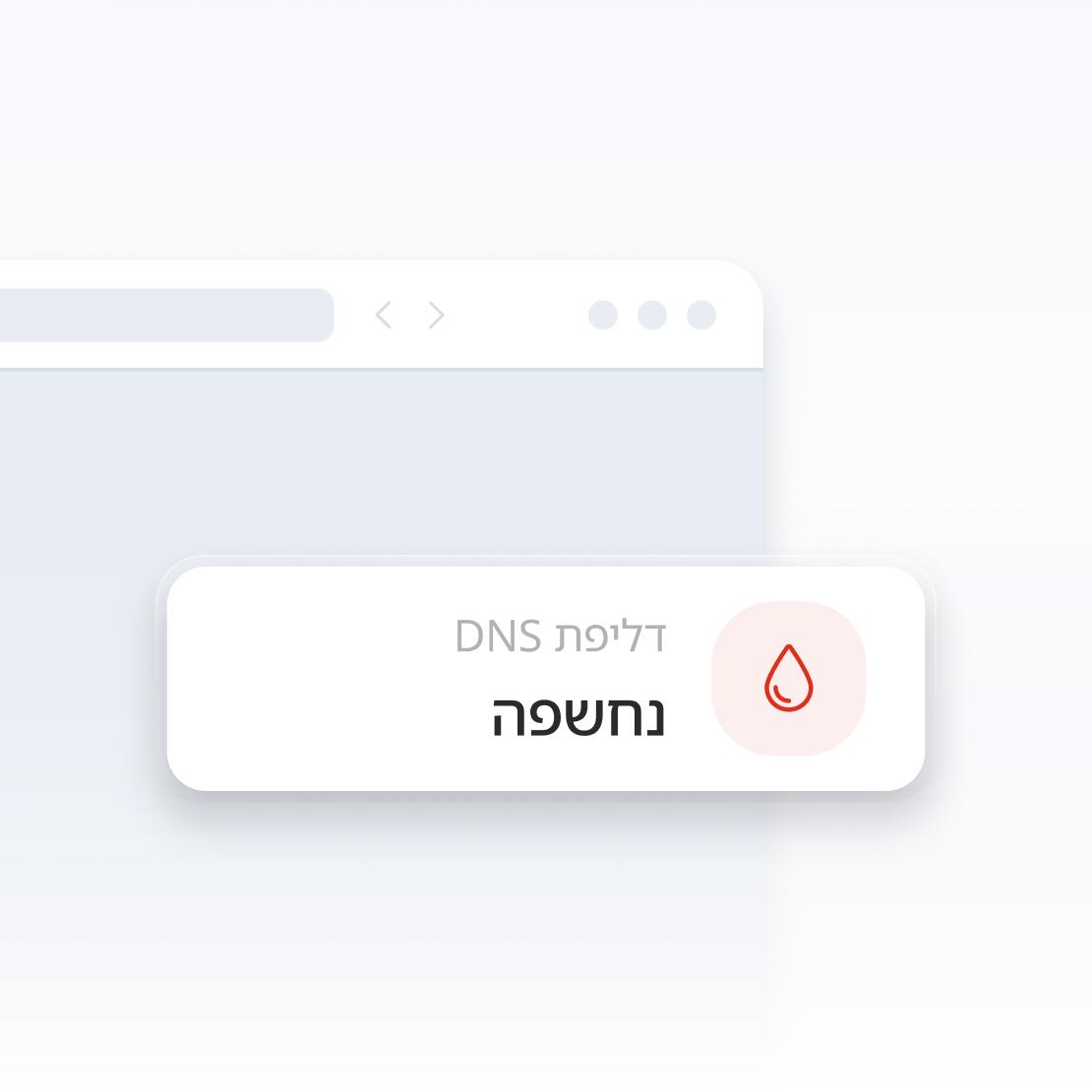 קטע מחלון דפדפן אינטרנט המזהיר מפני דליפת DNS.