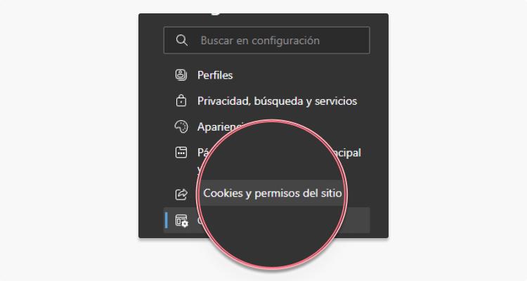 Cómo borrar cookies en Explorer 2