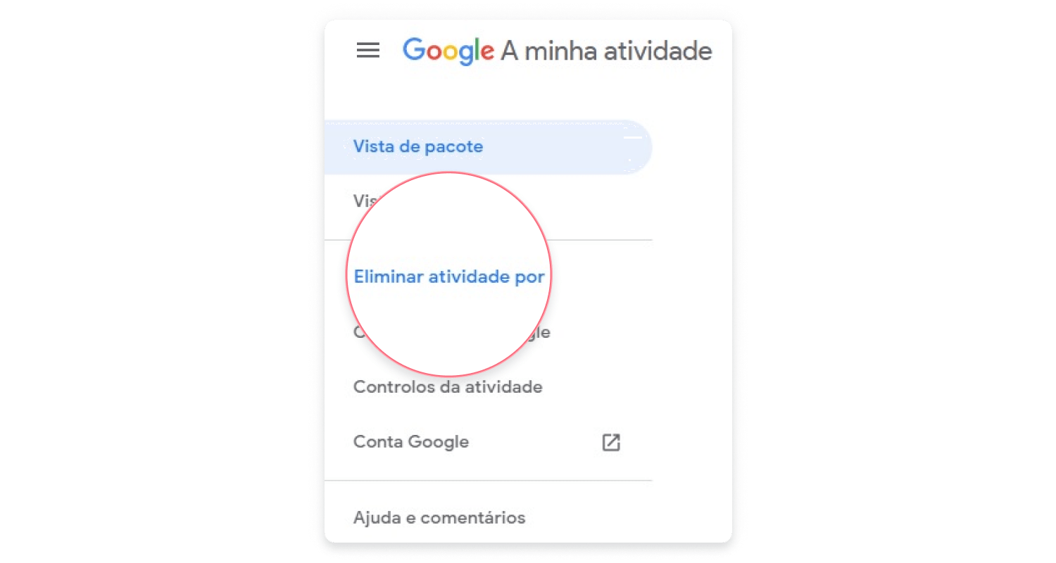 delete google history