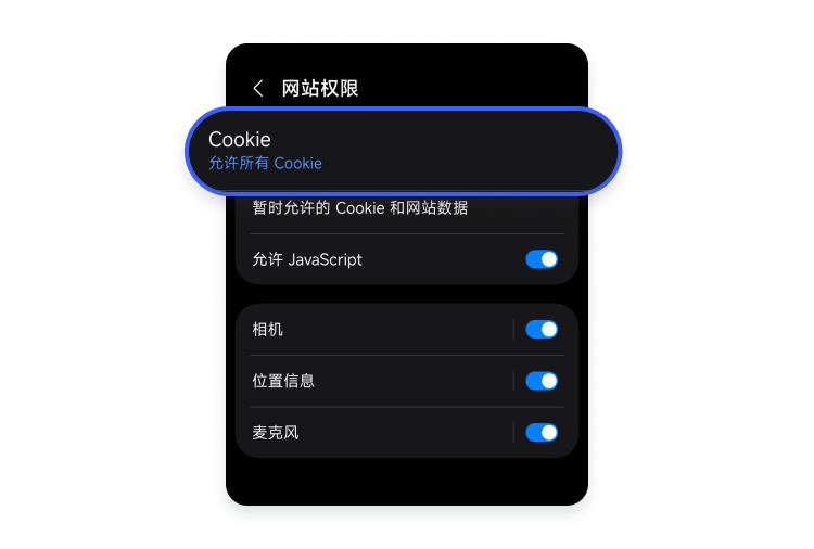 选择 Cookie 设置
