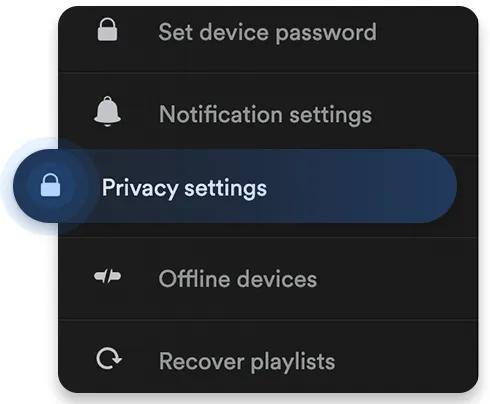 Spotify private session