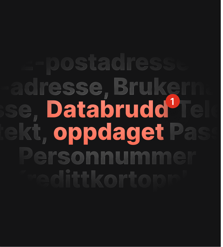 En illustrasjon av et varsel om DNS-lekkasjetest som gir beskjed om at brukeren har vært utsatt for datalekkasje.