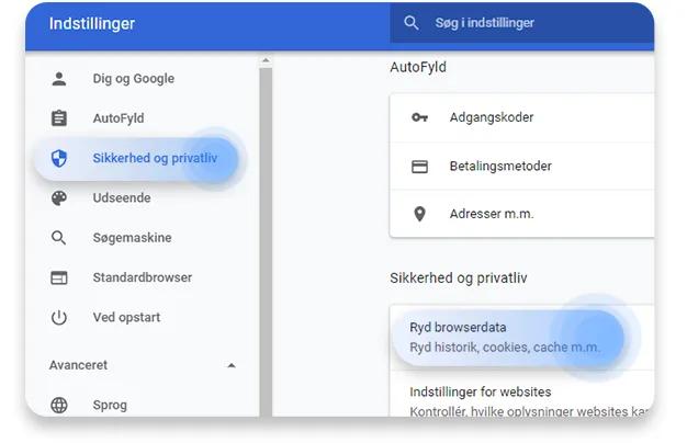 slet cookies chrome