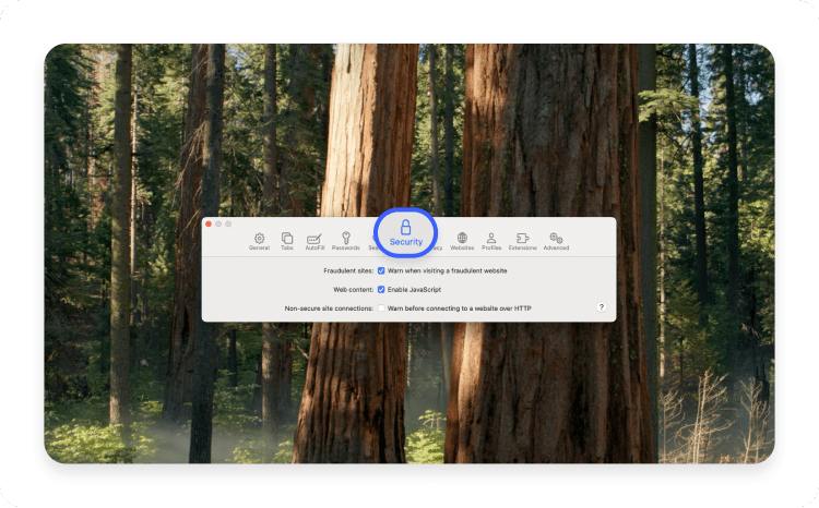 How to turn Google Safe Browsing on 5