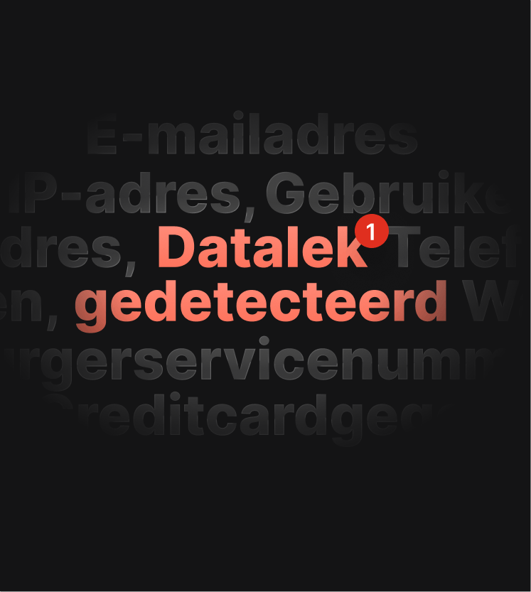 Een illustratie van een DNS-lektestwaarschuwing die de gebruiker informeert dat er een datalek heeft plaatsgevonden.