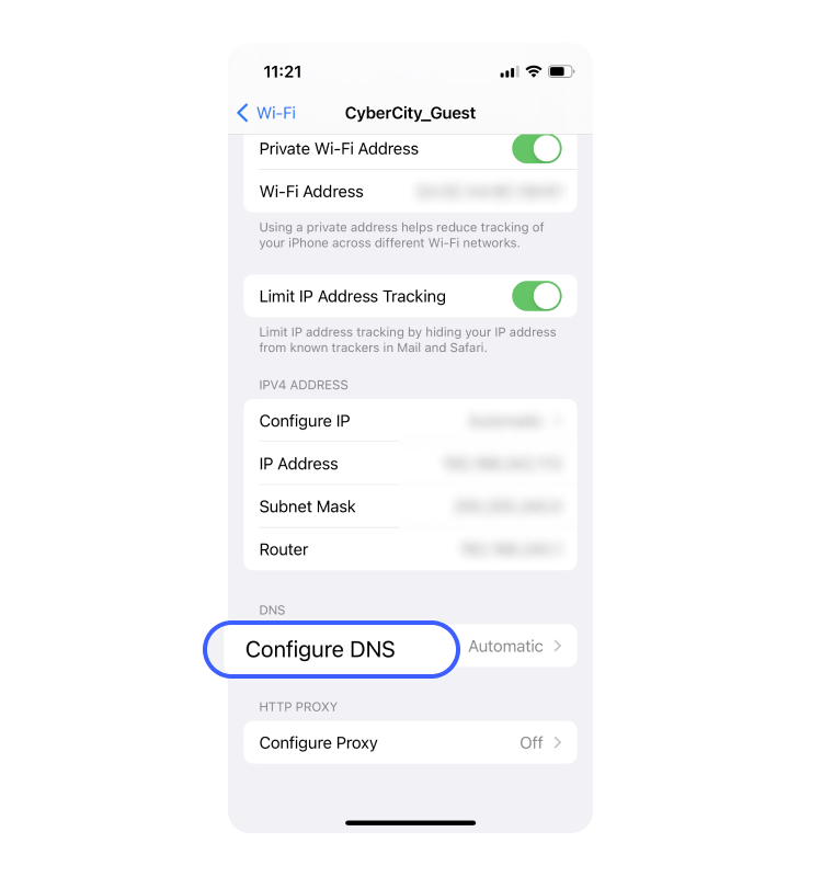 iphone configure dns