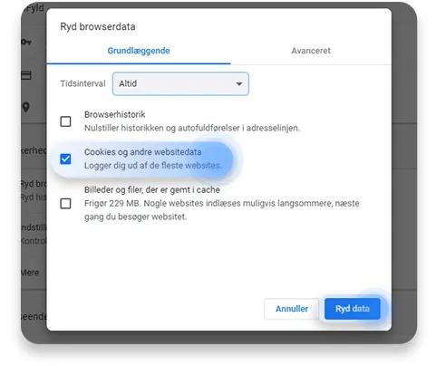 slet cookies chrome