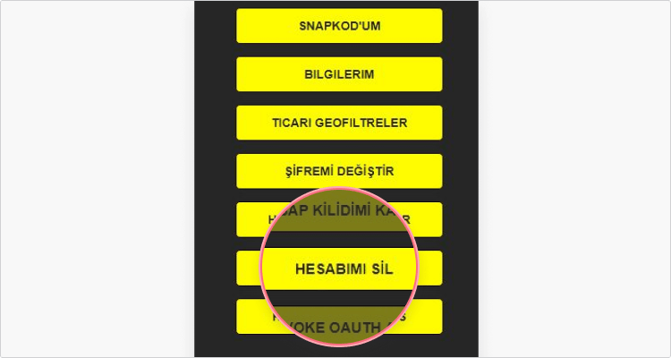 Bilgisayardan Snapchat Hesabı Nasıl Silinir Aşama 1