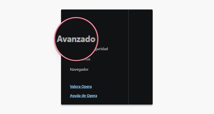 Eliminar cookies en Opera paso 2