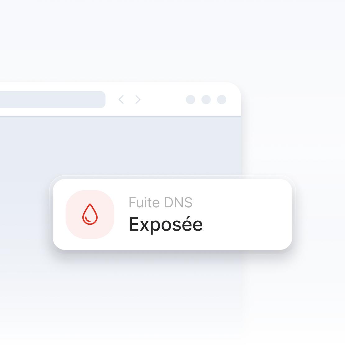 Partie d’une fenêtre de navigateur Web avertissant d’une fuite DNS.
