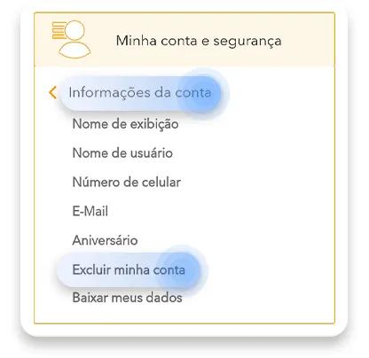 como excluir a conta do snapchat no seu iPhone ou Android:  passo nº5