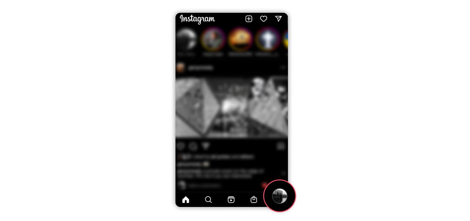 Instagram profile button