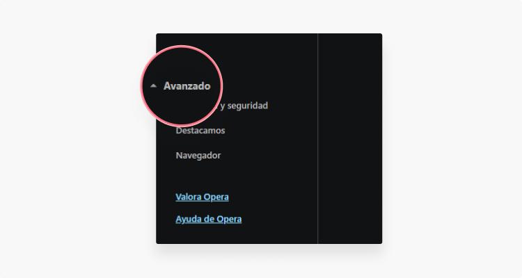 borrar cache Opera: paso 2