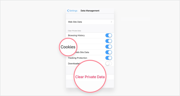 Delete cookies in Mozilla iOS