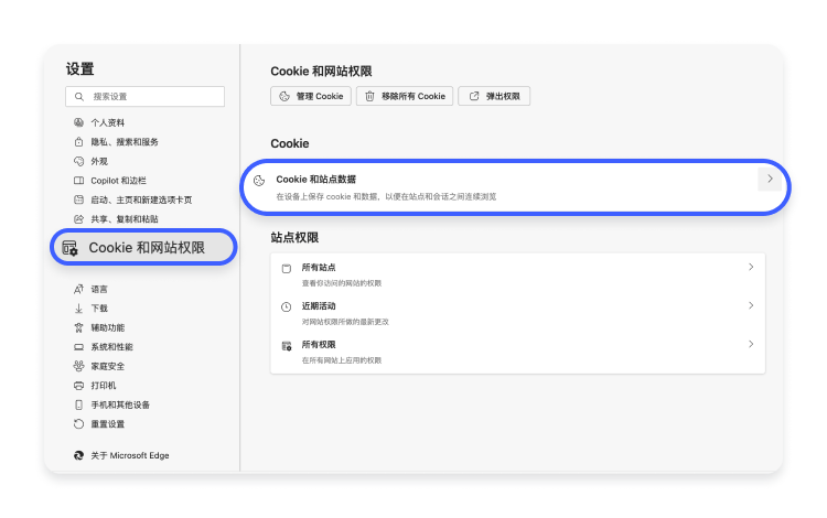 选择 Cookie 和其他站点数据