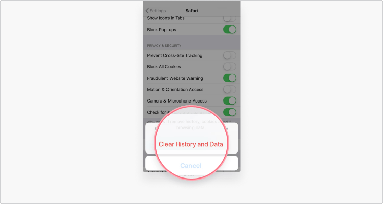 Delete cookies in Safari iOS