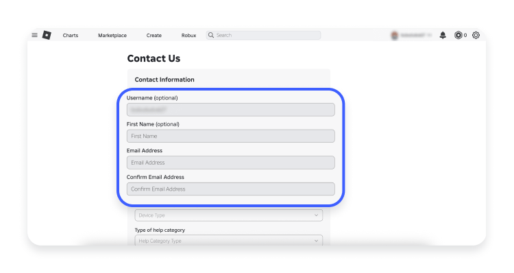 A screenshot of step 3 showing the support form with username and email entered
