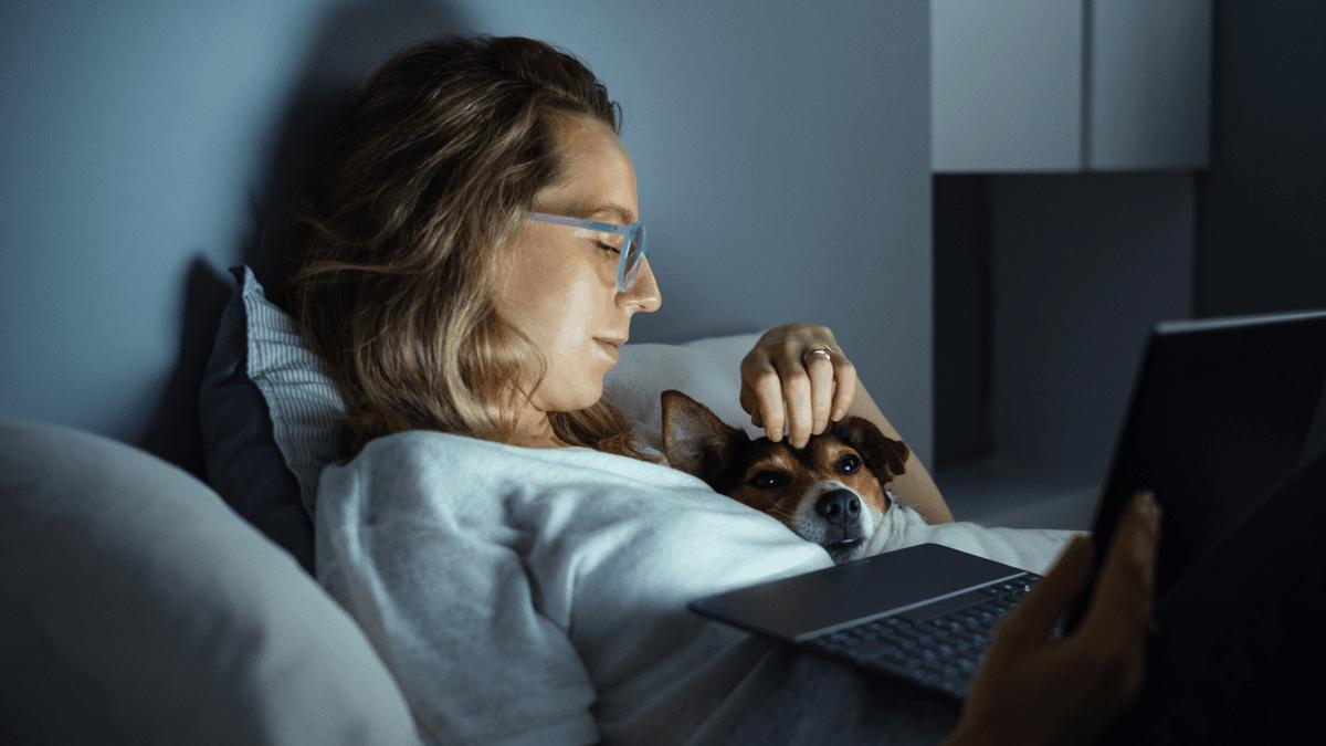 Woman using a laptop in bed at night with her dog beside her.