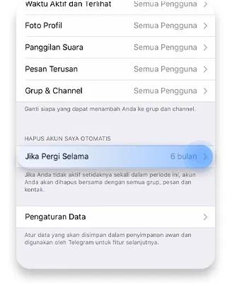 Pilihan Jika Pergi Selama dalam privasi keamanan