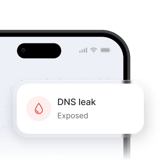 A smartphone with a snippet showing a detected DNS leak.