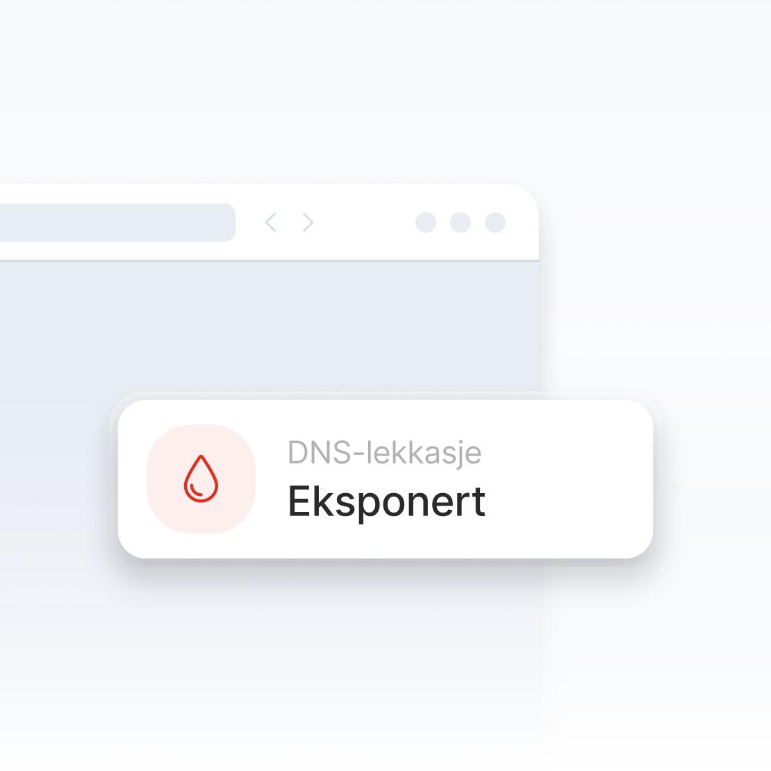 En del av et nettleservindu som advarer om en DNS-lekkasje.