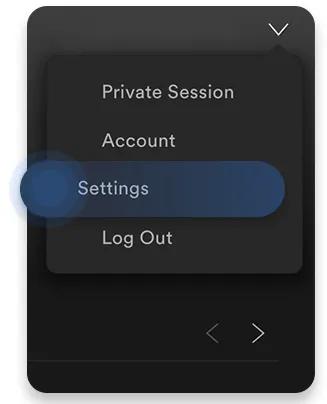 Spotify private session
