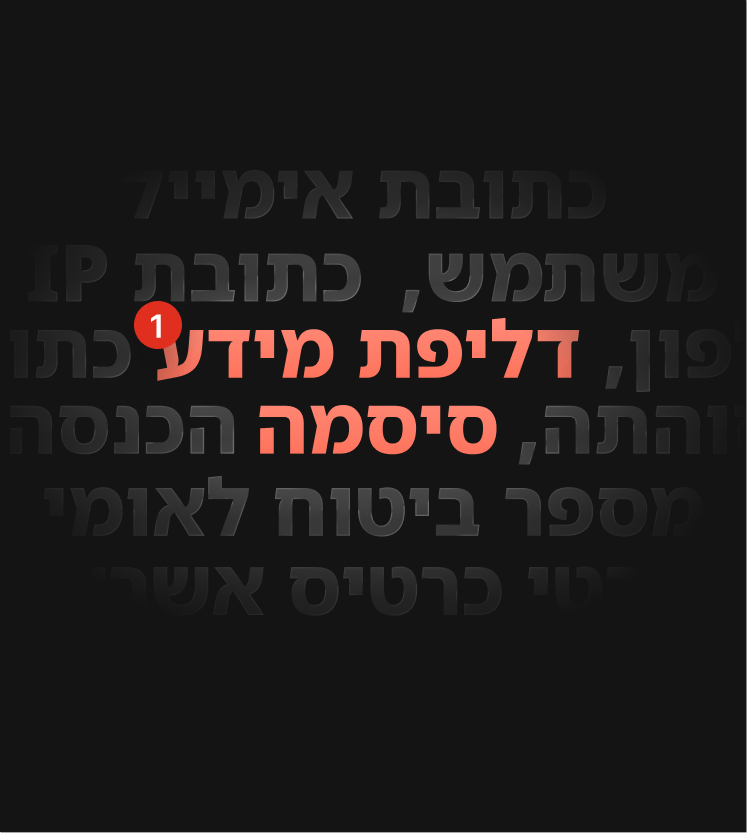 איור של התראה של בדיקת דליפת DNS המודיעה למשתמש כי אירעה דליפת נתונים.
