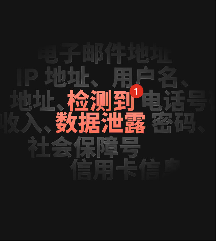 DNS 泄漏测试警报的插图，通知用户发生了数据泄漏。