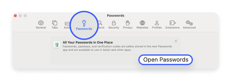Saved passwords on Safari 2