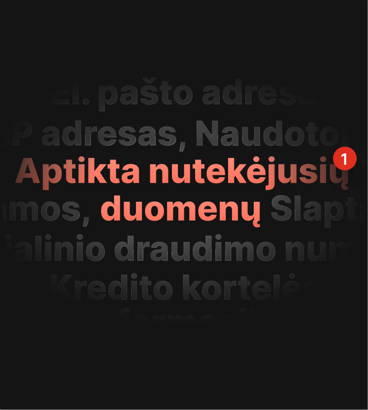 Iliustracija, vaizduojanti DNS nutekėjimo testo įspėjimą apie nutekėjusius naudotojo duomenis.