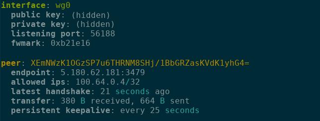 WireGuard interface status showing the peer endpoint and latest handshake.