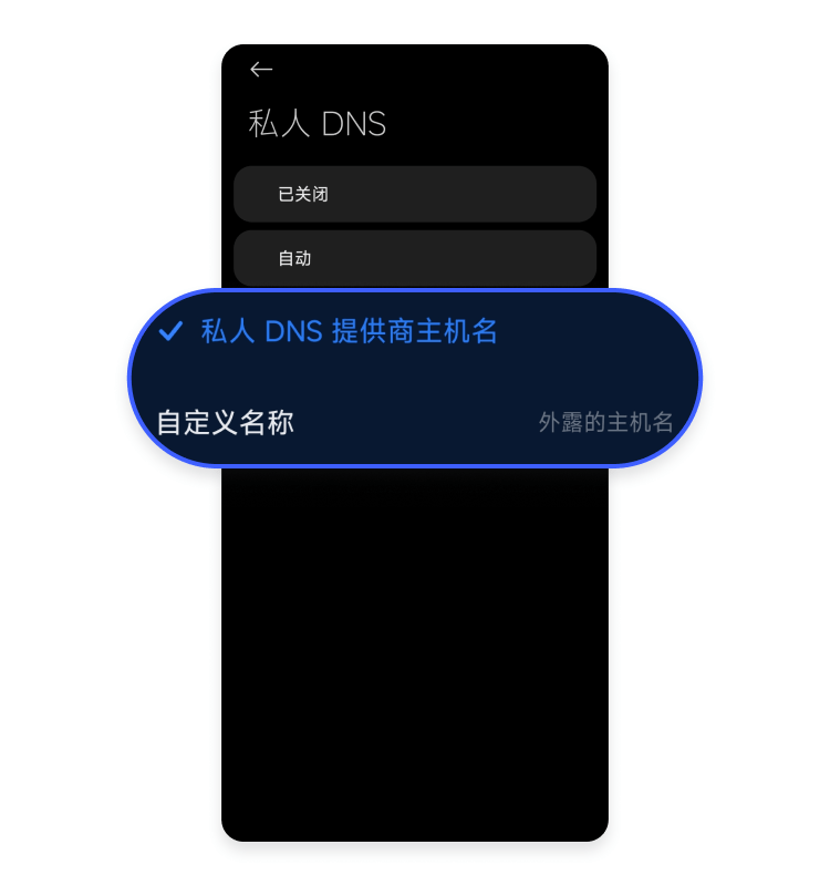 选择私人 DNS 中的自定义名称