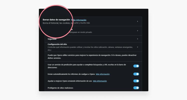 borrar cache Opera: paso 3