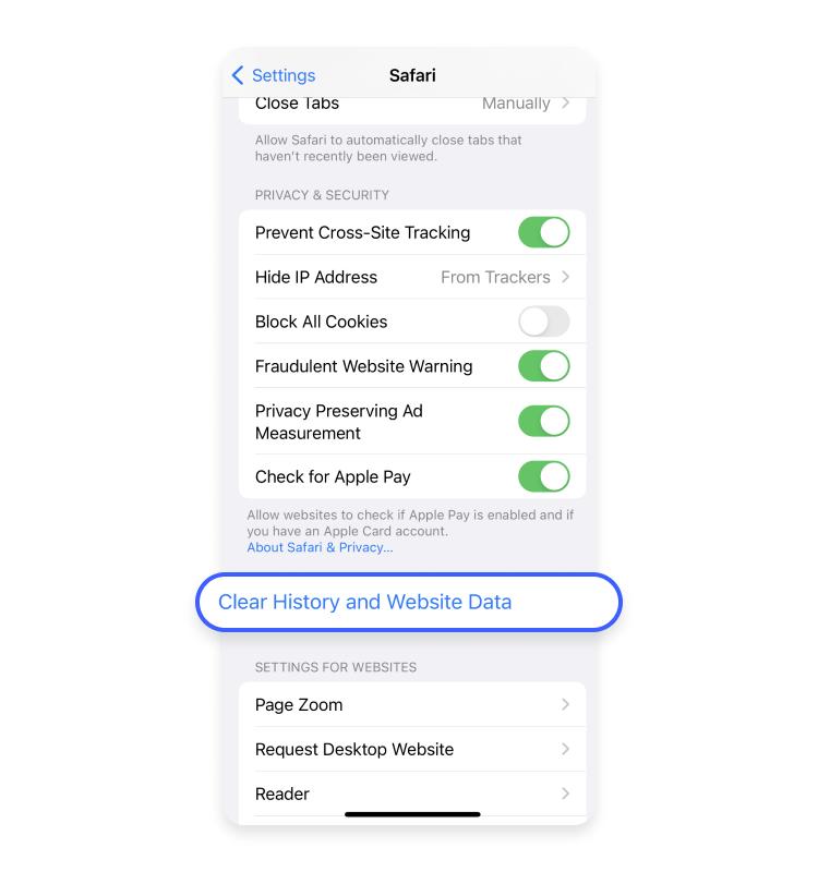 Clear Safari history and website data