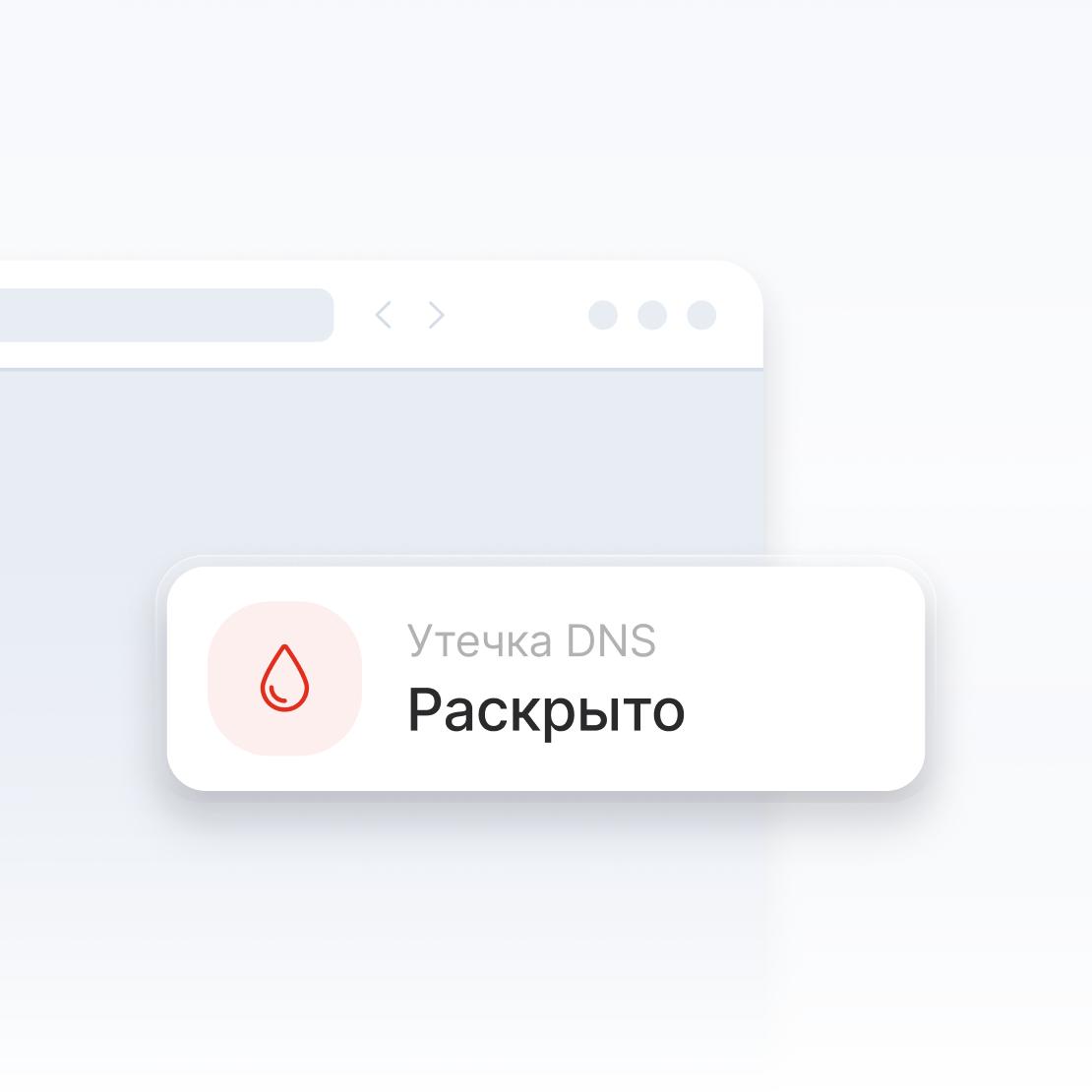 Фрагмент окна интернет-браузера, предупреждающего об утечке DNS.