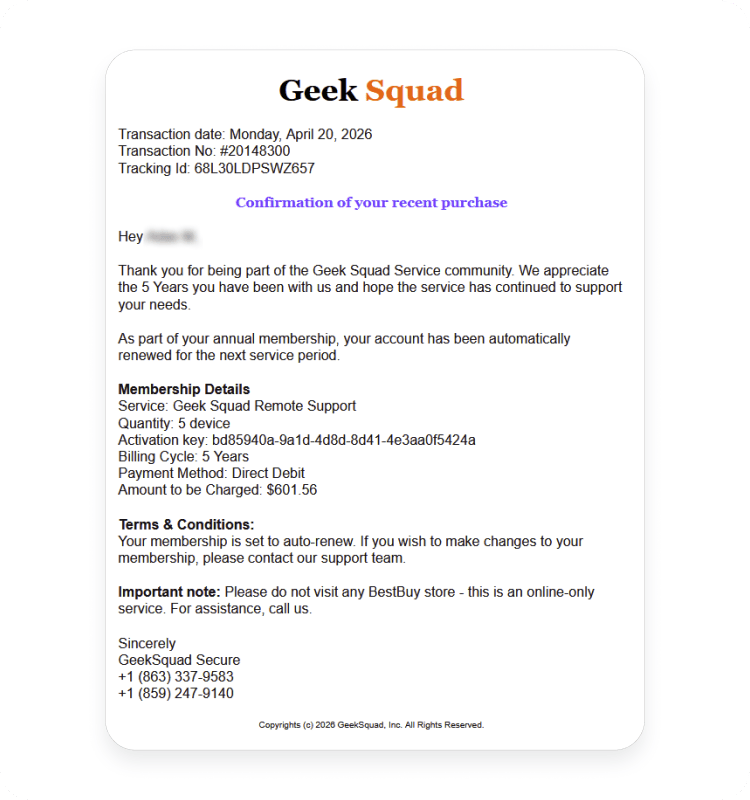 geek squad scams
