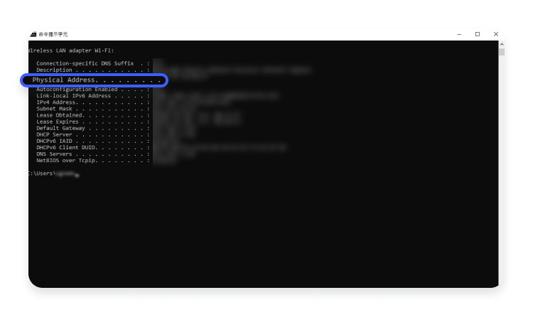 Windows 上的 MAC 位址：步驟 3