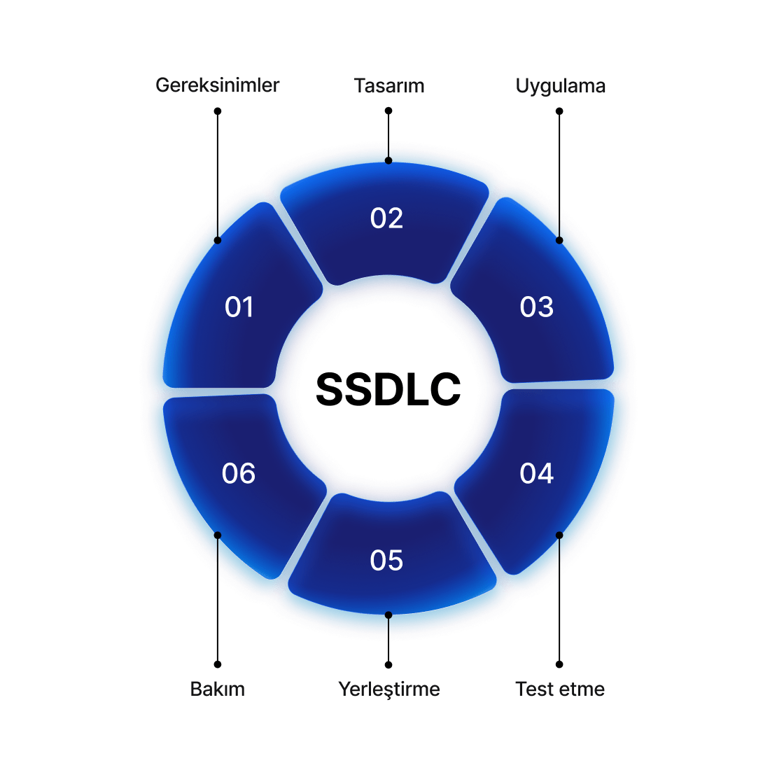 A circular visual of the secure software development lifecycle with development phases.