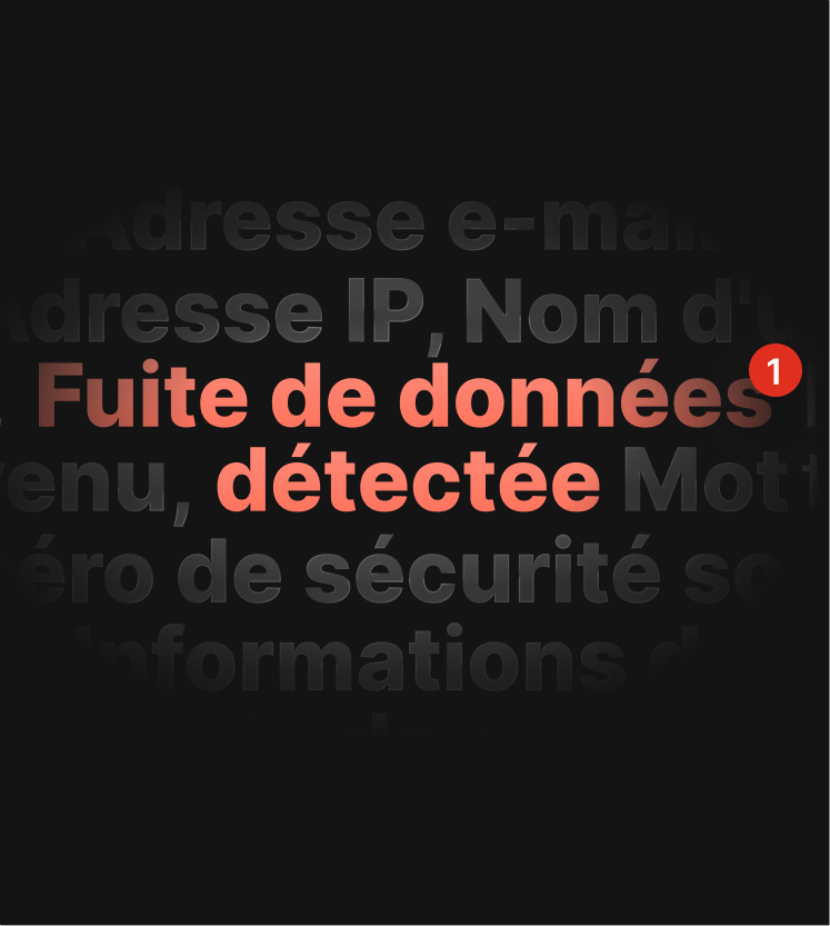 Exemple d’alerte de test de fuite DNS informant l’utilisateur qu’il a été victime d’une fuite de données.