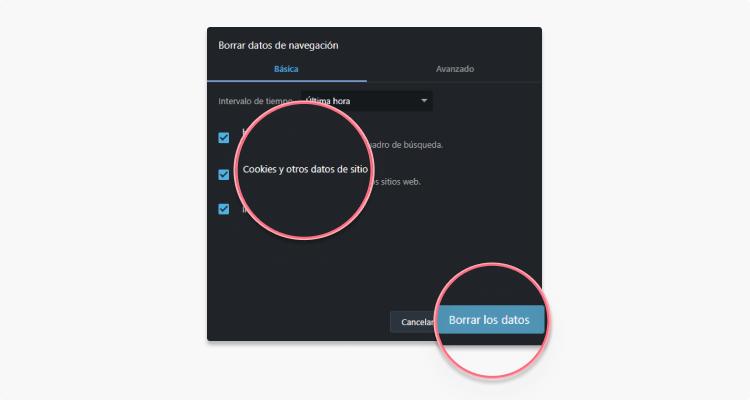Eliminar cookies en Opera paso 4