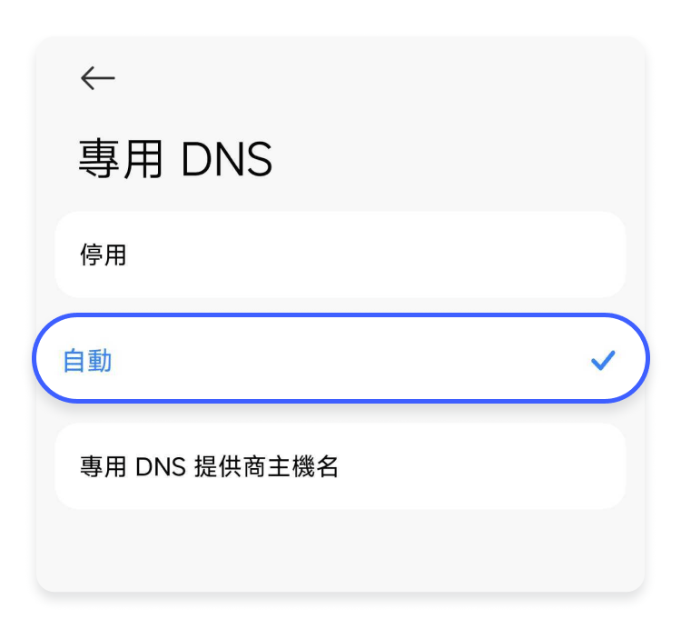專用 DNS 自動